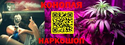 МДПВ Пушкино