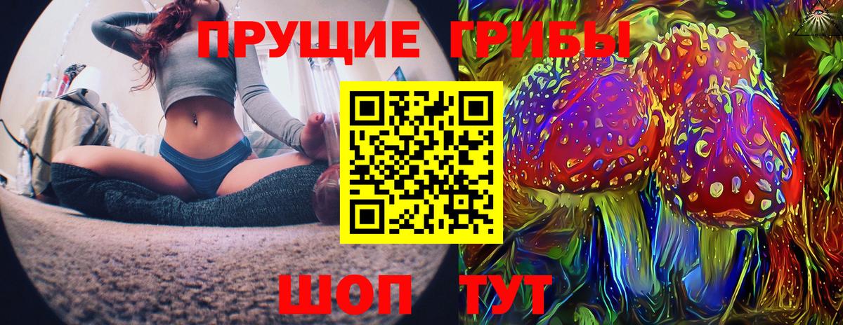 Галлюциногенные грибы Psilocybe Димитровград