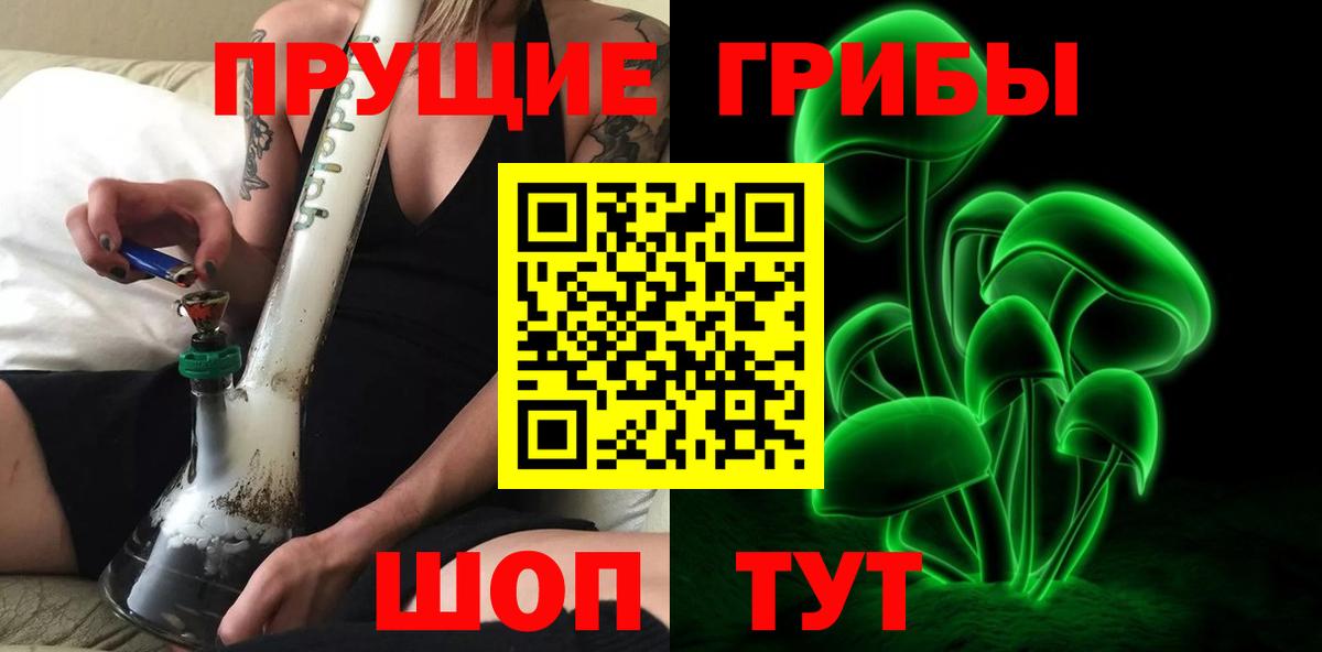 Димитровград  Псилоцибиновые грибы Cubensis  где можно купить   Вход с VPN 